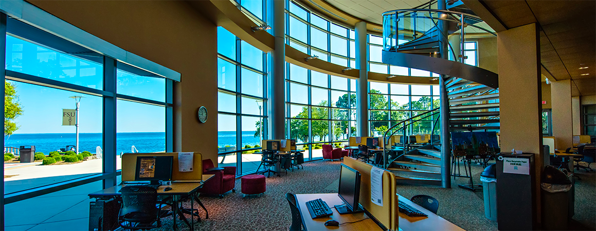 inside the library photo