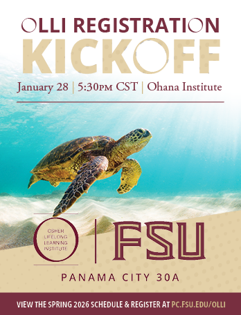 OLLI Spring 2026 sea turtle graphic