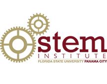 STEM logo